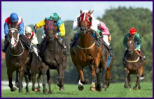 Race Horses